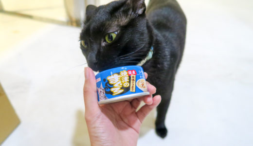 シンガポールで見つけた猫缶「焼津のまぐろ」