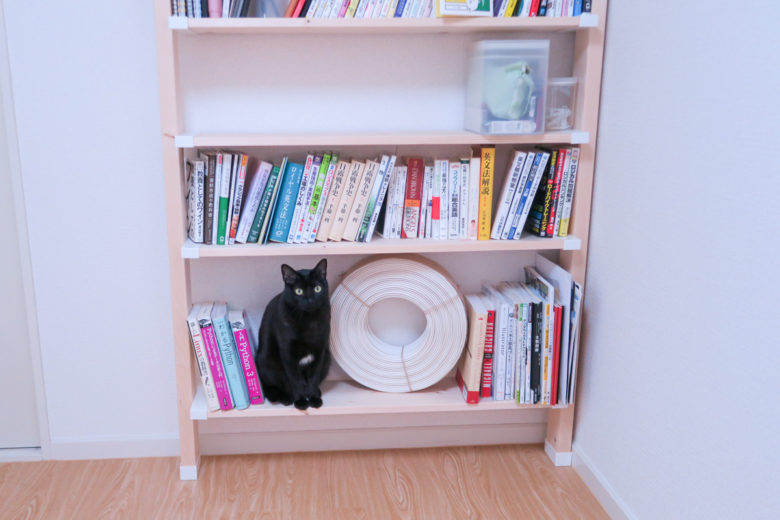 ツーバイフォー材とラブリコで作った本棚の下段でおすわりする黒猫チビ
