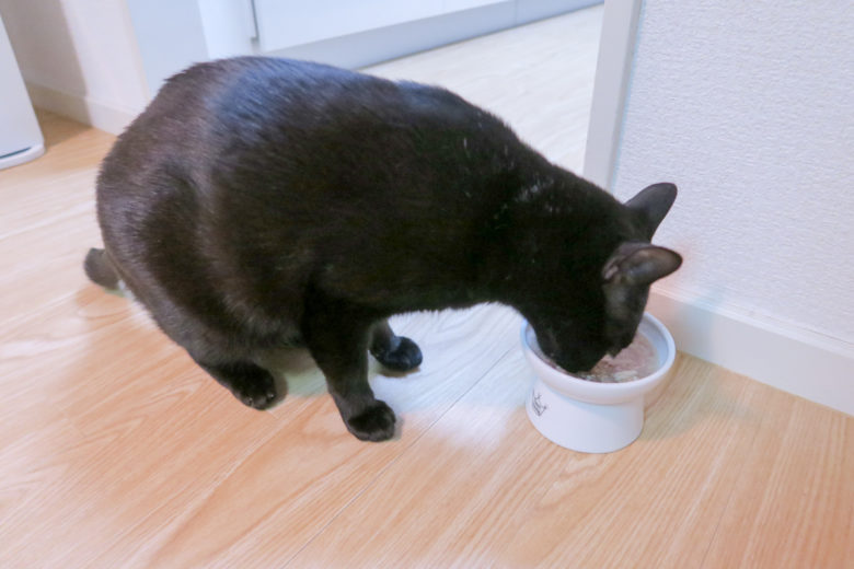 猫壱のフードボウル脚付きでいなばだしカップを食べる黒猫チビ