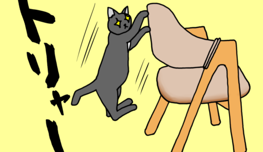 ［動画･イラストあり］椅子を倒したのをごまかそうとする黒猫チビ