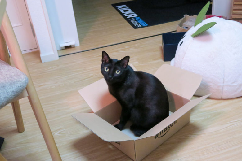 amazonの箱に入る黒猫チビ
