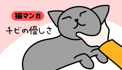 【猫マンガ】チビの優しさ＜ペロペロ編＞