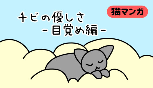 【猫マンガ】チビの優しさ＜目覚め編＞