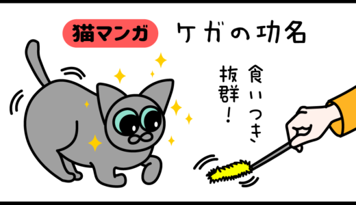 【猫マンガ】ケガの功名