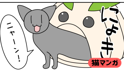 【猫マンガ】ネコファースト