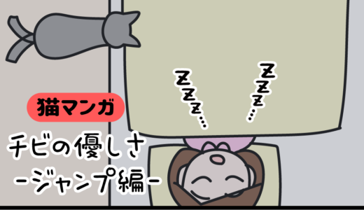 【猫マンガ】チビの優しさ-ジャンプ編-