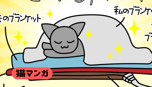 【猫マンガ】ゴージャス猫ベッド