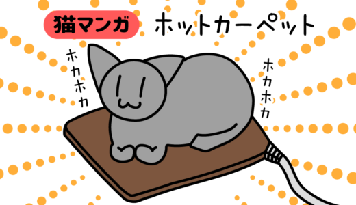 【猫マンガ】ホットカーペット