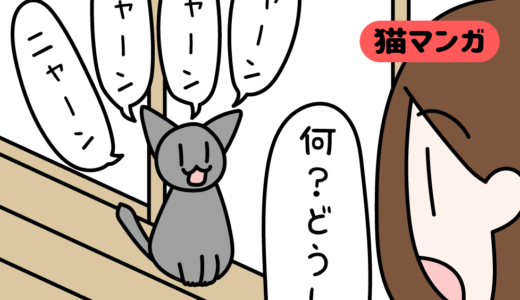 【猫マンガ】甘えん坊猫