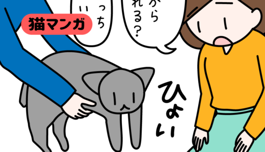 【猫マンガ】鉄の意志