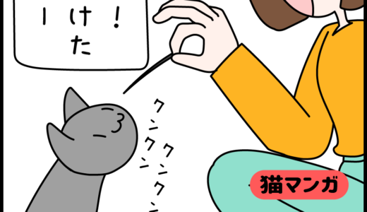 【猫マンガ】ヒゲ