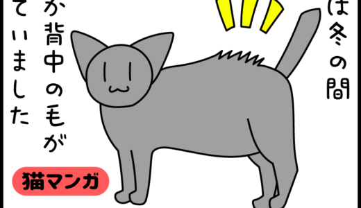 【猫マンガ】クロネコサウルス
