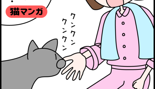 【猫マンガ】新しい匂い