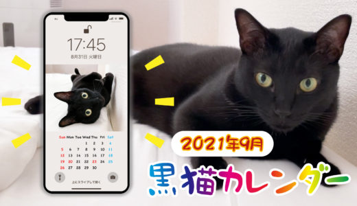【動画】黒猫のスマホ壁紙カレンダーのお知らせ【2021年9月】