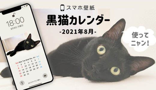 黒猫写真の壁紙カレンダー（2021年8月）