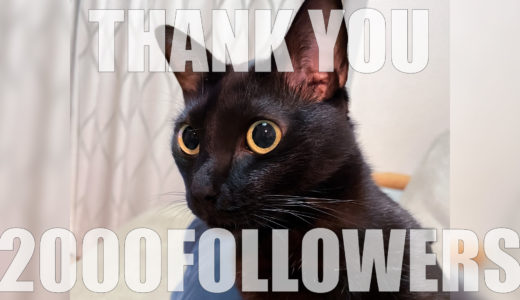 Instagramフォロワー2,000人ありがとうございます！