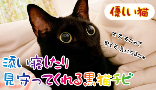 【動画】副反応で寝込んだ時添い寝したり見守ってくれる優しい黒猫チビ