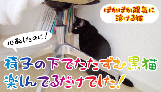 【動画】椅子の下で佇む黒猫を心配したけど、楽しんでるだけだった＆ぽかぽか陽気を楽しむ黒猫チビです