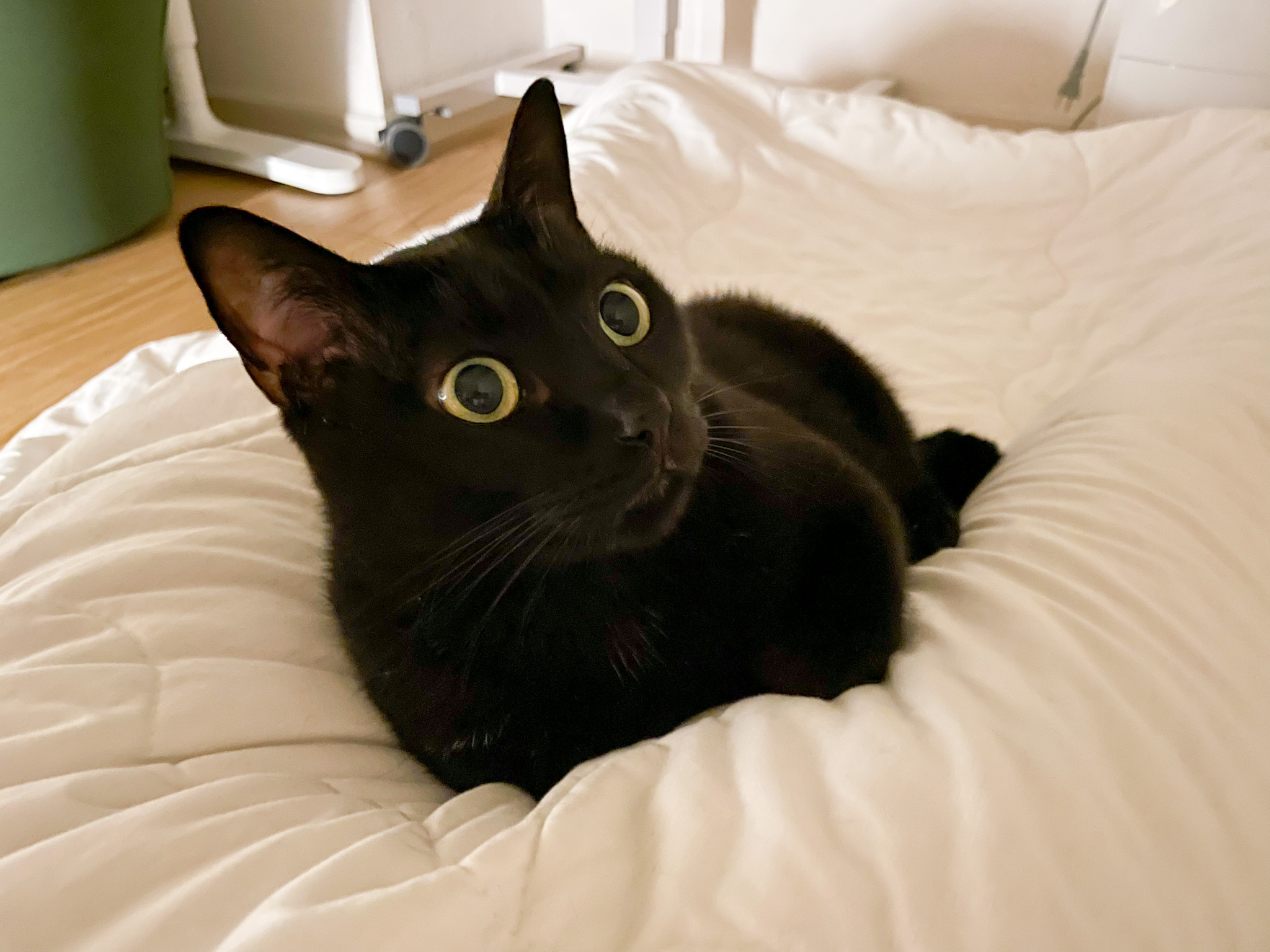 F9ACB853-2D60-4783-BE82-