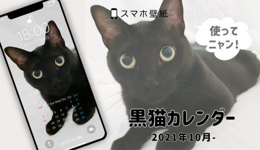 黒猫写真の壁紙カレンダー（2021年10月）