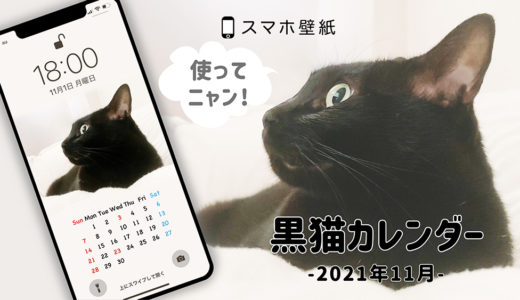 黒猫写真の壁紙カレンダー（2021年11月）